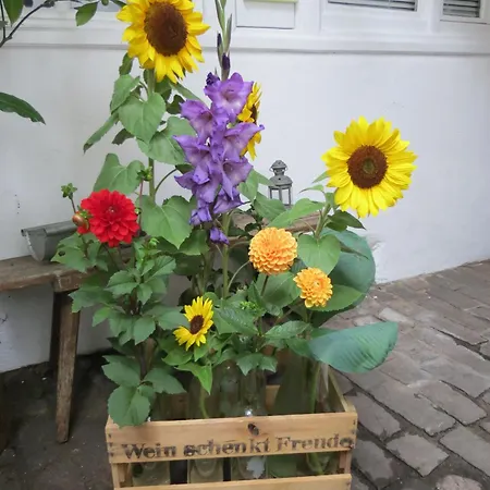 Im Alten Kaufhaus * Rhodt unter Rietburg