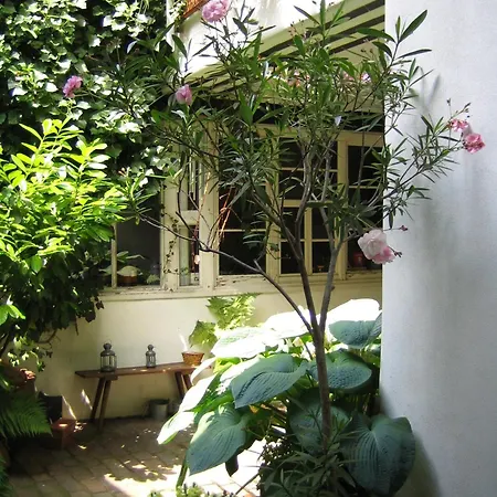 Im Alten Kaufhaus Rhodt unter Rietburg