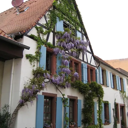 Im Alten Kaufhaus Rhodt unter Rietburg