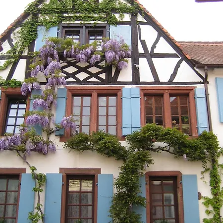 Im Alten Kaufhaus *
