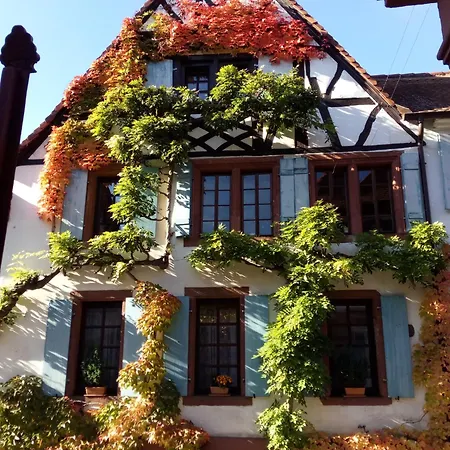 Im Alten Kaufhaus *