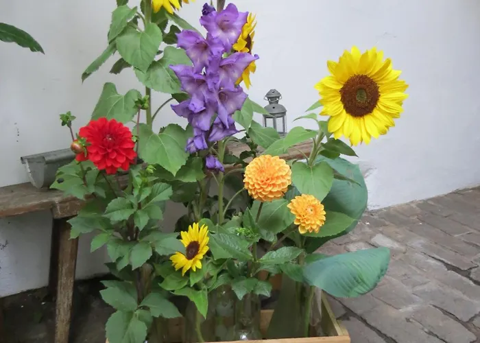 Im Alten Kaufhaus * רודט אונטר ריטבורג