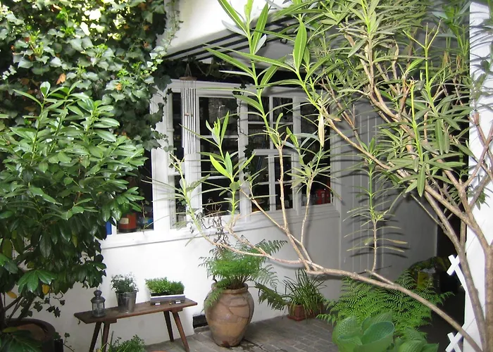 Im Alten Kaufhaus 公寓 *