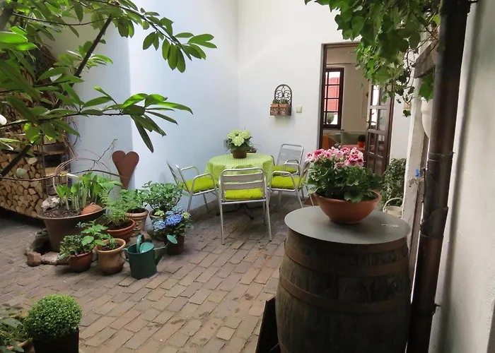 דירה Im Alten Kaufhaus *