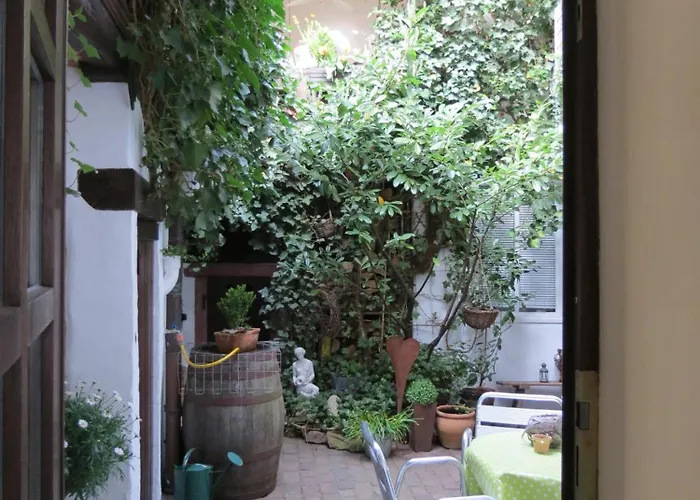 公寓 Im Alten Kaufhaus