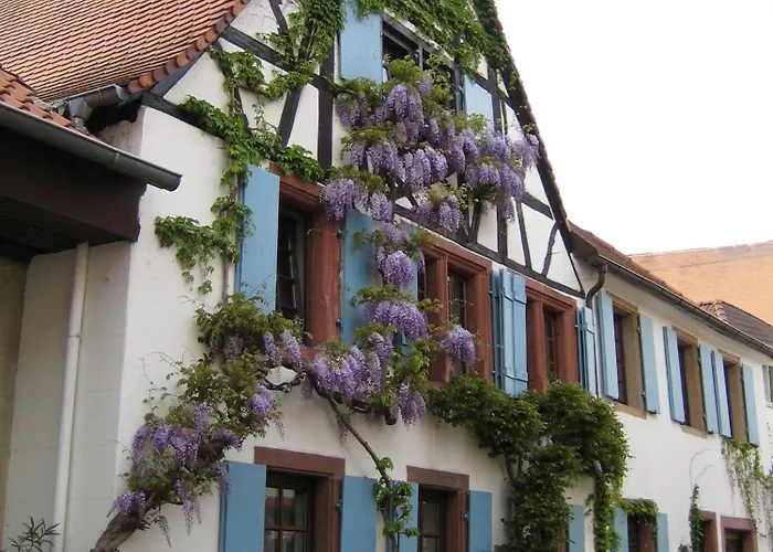 Im Alten Kaufhaus 罗特翁特尔里特堡